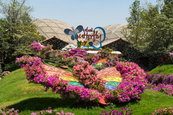 Dubai Tour With Butterfly Garden